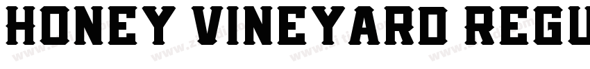 Honey Vineyard Regul字体转换